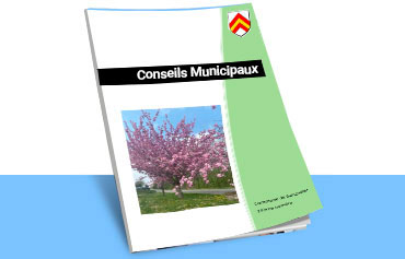 Conseils municipaux