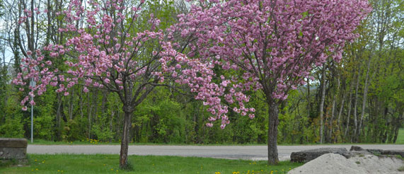 crèche assistante maternelle